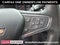2020 Chevrolet Malibu LS 1FL