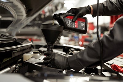 BRING IN THE NEW YEAR - OIL CHANGE SPECIAL