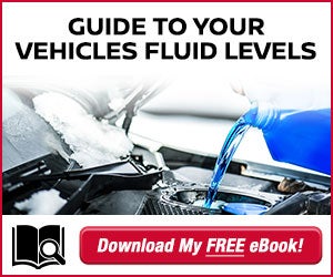 Guide to Your Vehicle's Fluid Levels