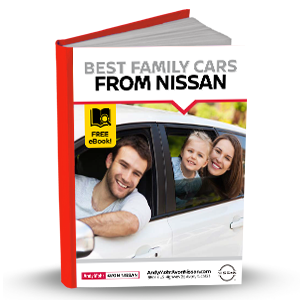 Family Cars eBook