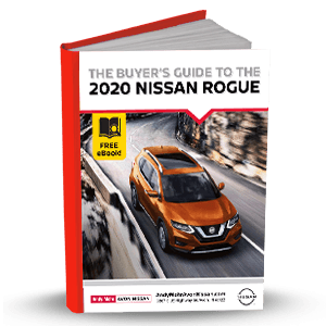 2020 Rogue eBook