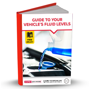 Vehicle Fluids eBook