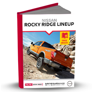 Rocky Ridge eBook