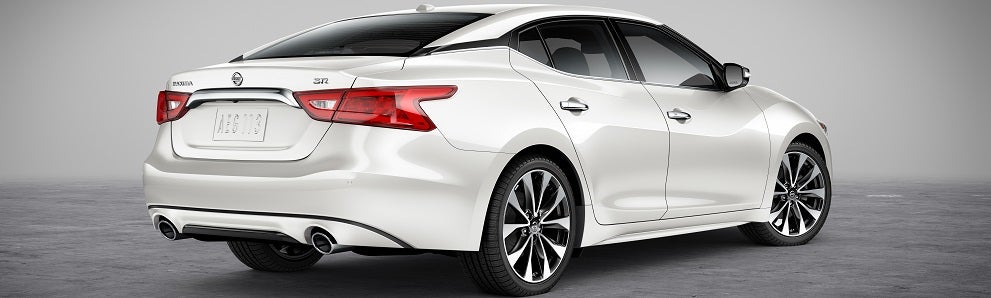 Nissan Maxima Pearl White 